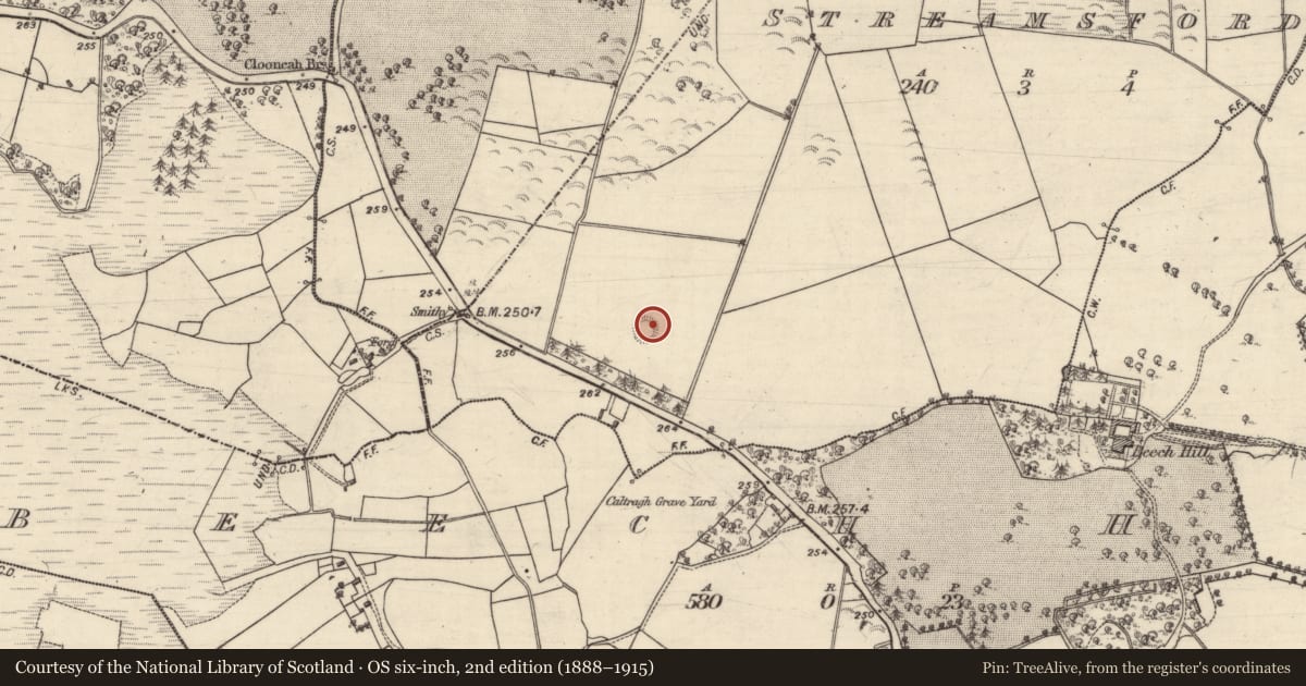 Ordnance Survey six-inch map, 2nd edition (1888–1915) covering the location of Enclosure, Streamsford, County Galway, with a pin at the register's coordinates