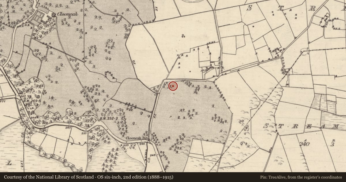 Ordnance Survey six-inch map, 2nd edition (1888–1915) covering the location of Designed landscape - tree-ring, Streamsford, County Galway, with a pin at the register's coordinates