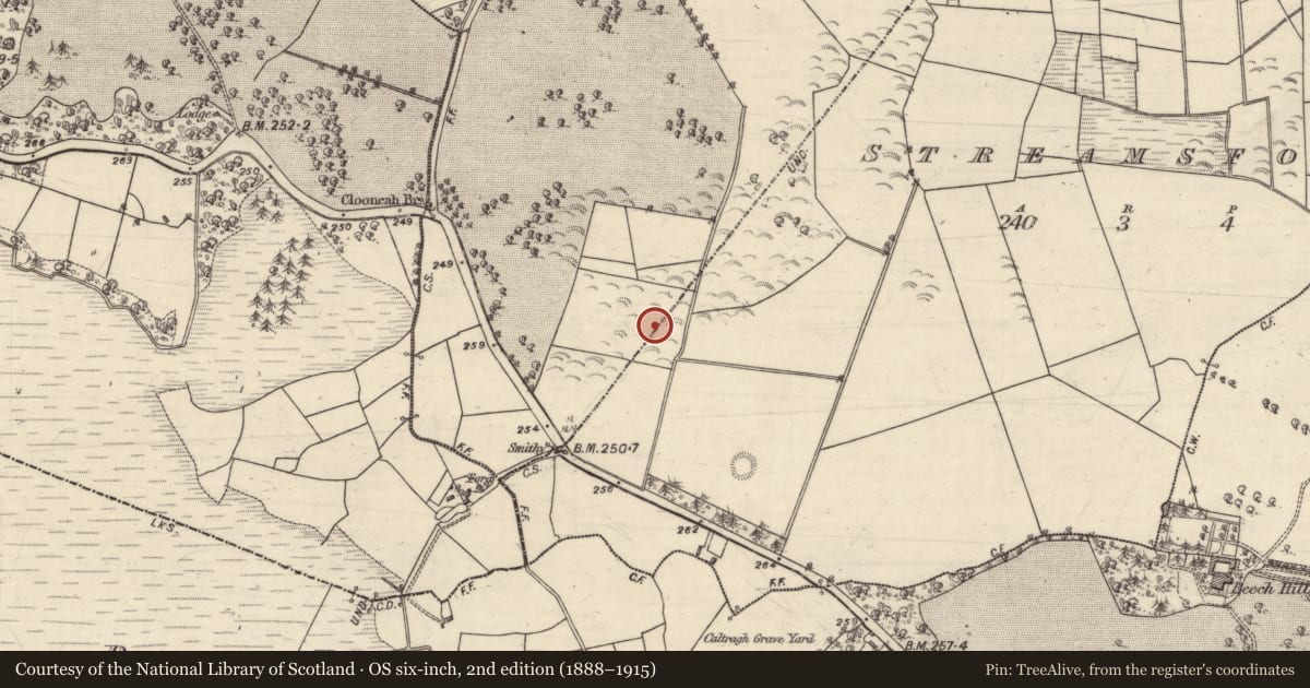 Ordnance Survey six-inch map, 2nd edition (1888–1915) covering the location of Designed landscape feature, Streamsford, County Galway, with a pin at the register's coordinates