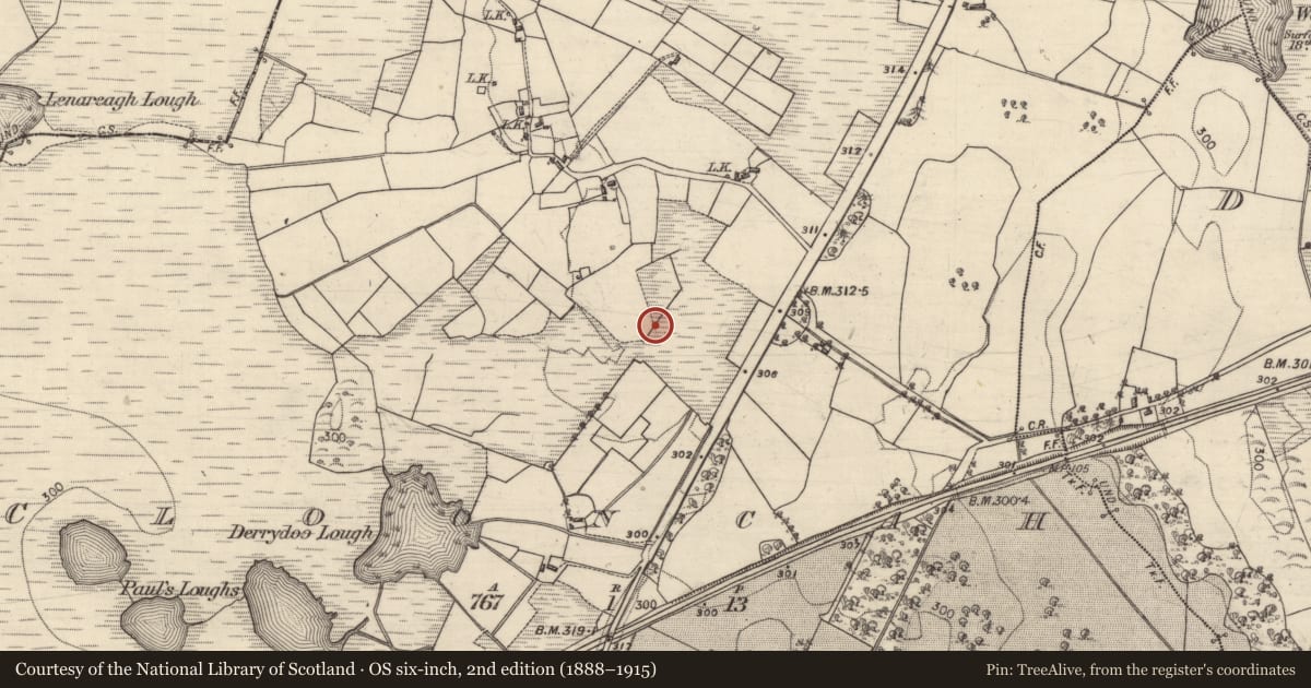 Ordnance Survey six-inch map, 2nd edition (1888–1915) covering the location of Structure - peatland, Clooncah, County Galway, with a pin at the register's coordinates