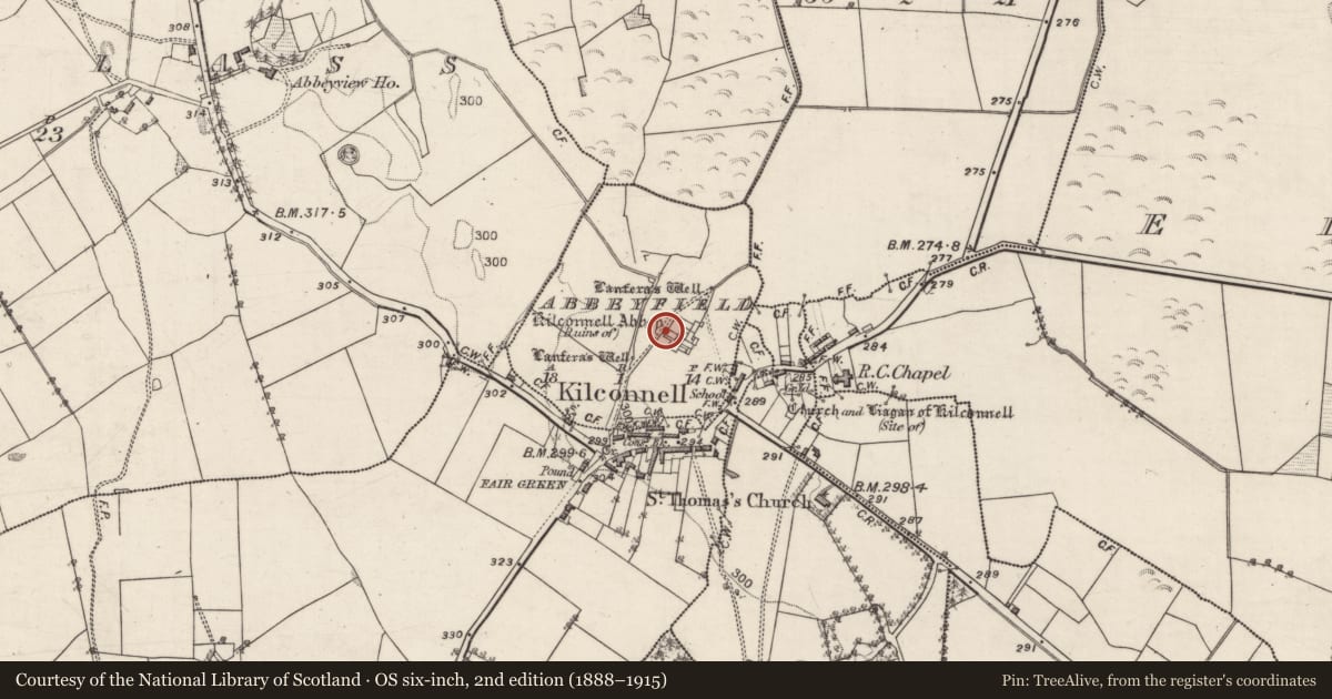 Ordnance Survey six-inch map, 2nd edition (1888–1915) covering the location of Field system, Abbeyfield, County Galway, with a pin at the register's coordinates