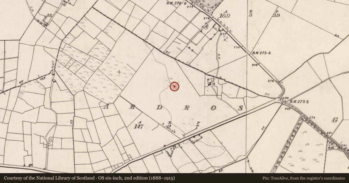 Ordnance Survey six-inch map, 2nd edition (1888–1915) covering the location of Field system, Ardros, County Galway, with a pin at the register's coordinates