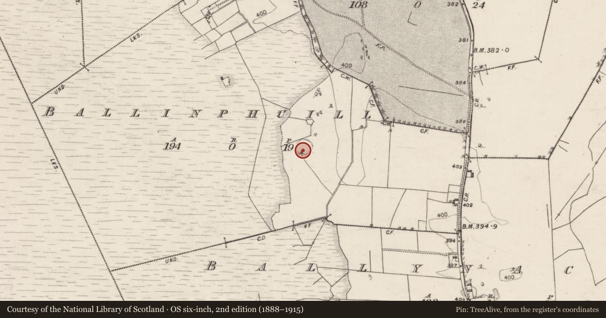 Ordnance Survey six-inch map, 2nd edition (1888–1915) covering the location of Souterrain, Ballinphuill, County Galway, with a pin at the register's coordinates