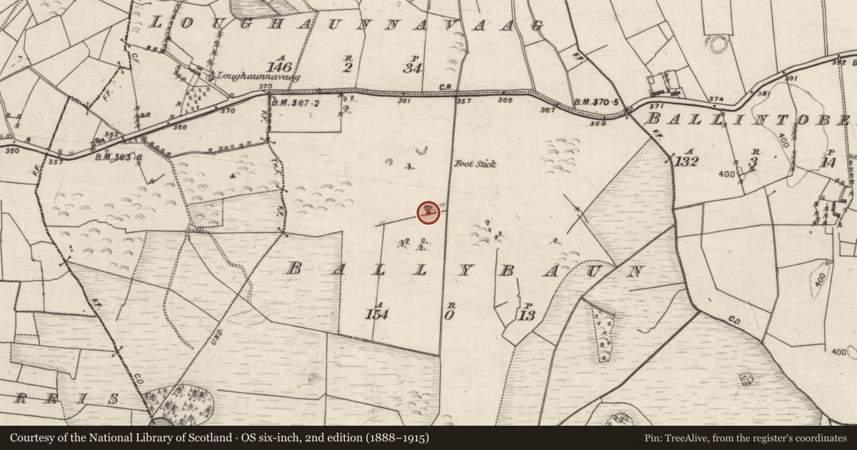 Ordnance Survey six-inch map, 2nd edition (1888–1915) covering the location of Quarry, Ballybaun, County Galway, with a pin at the register's coordinates