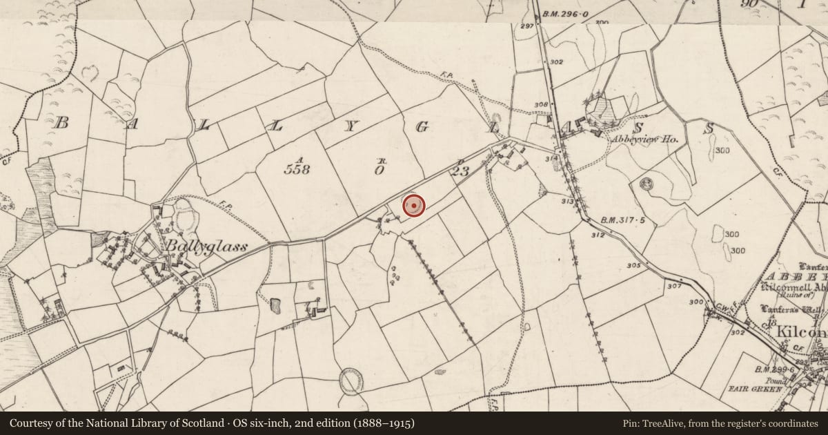 Ordnance Survey six-inch map, 2nd edition (1888–1915) covering the location of Souterrain, Ballyglass, County Galway, with a pin at the register's coordinates