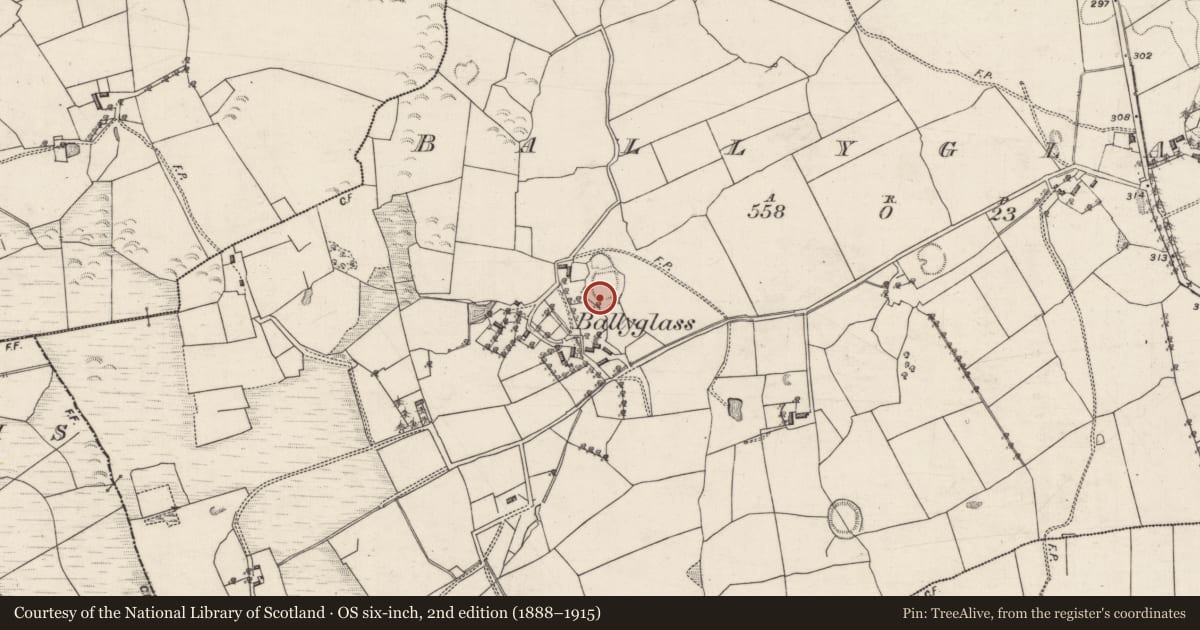 Ordnance Survey six-inch map, 2nd edition (1888–1915) covering the location of Souterrain, Ballyglass, County Galway, with a pin at the register's coordinates