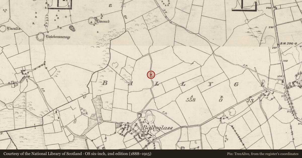 Ordnance Survey six-inch map, 2nd edition (1888–1915) covering the location of Quarry, Ballyglass, County Galway, with a pin at the register's coordinates