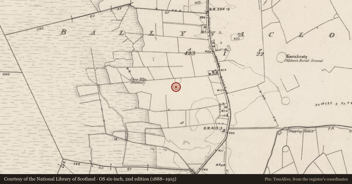 Ordnance Survey six-inch map, 2nd edition (1888–1915) covering the location of Ringfort - rath, Ballynaclogh, County Galway, with a pin at the register's coordinates