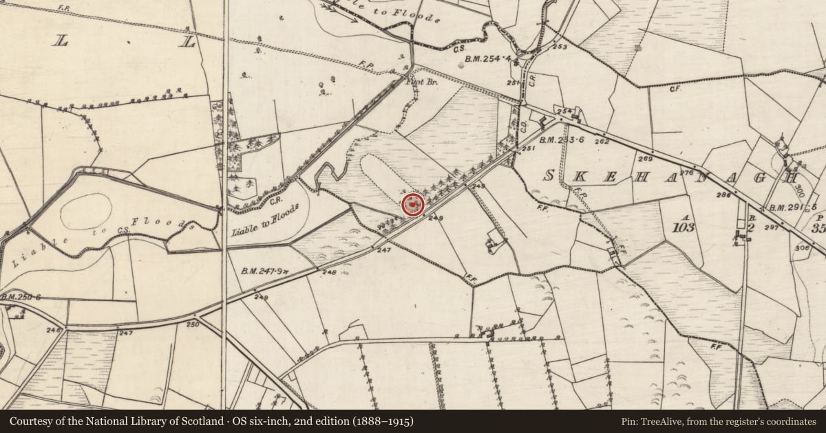 Ordnance Survey six-inch map, 2nd edition (1888–1915) covering the location of Enclosure, Beech Hill, County Galway, with a pin at the register's coordinates