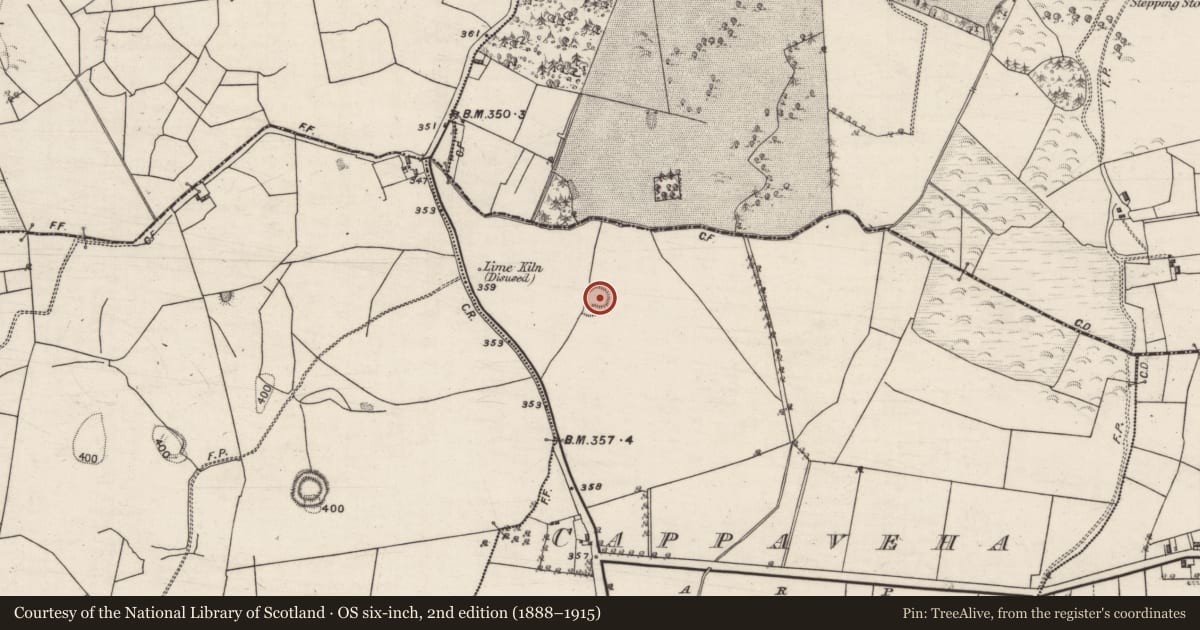 Ordnance Survey six-inch map, 2nd edition (1888–1915) covering the location of Children's burial ground, Cappaveha, County Galway, with a pin at the register's coordinates