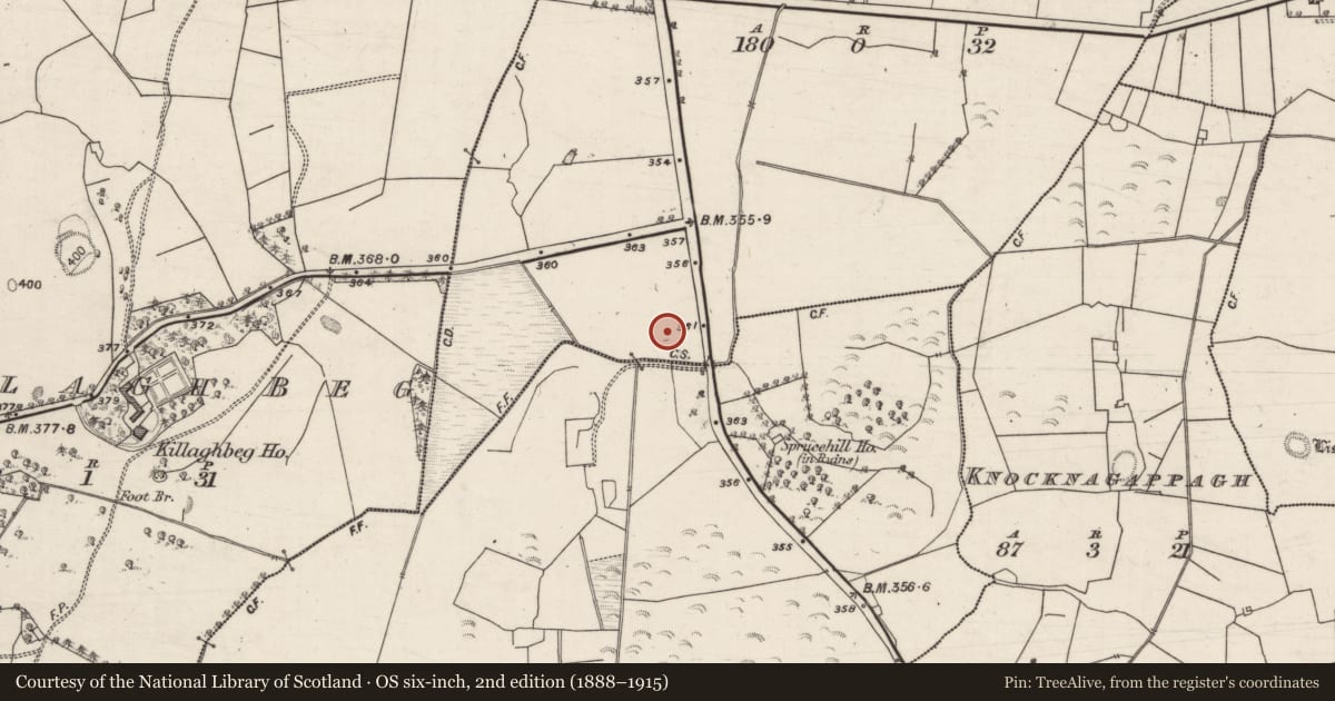 Ordnance Survey six-inch map, 2nd edition (1888–1915) covering the location of Children's burial ground, Cappaveha, County Galway, with a pin at the register's coordinates