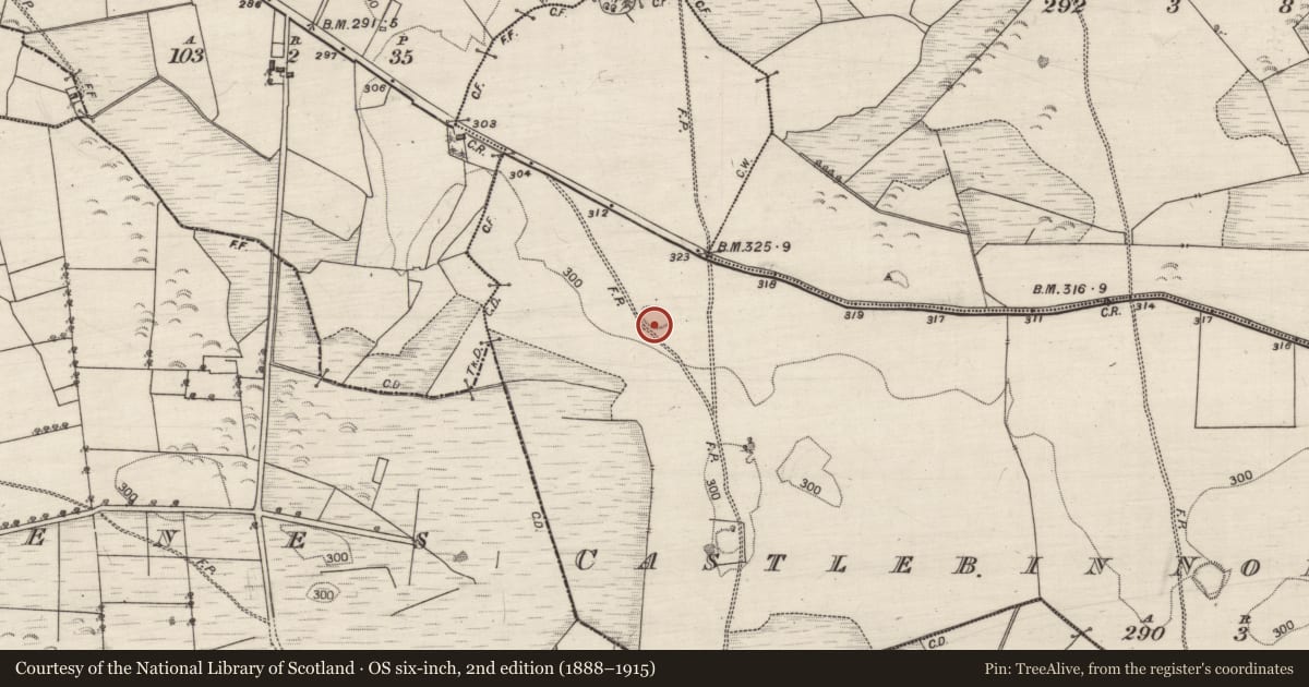 Ordnance Survey six-inch map, 2nd edition (1888–1915) covering the location of Ringfort - unclassified, Castlebin North, County Galway, with a pin at the register's coordinates