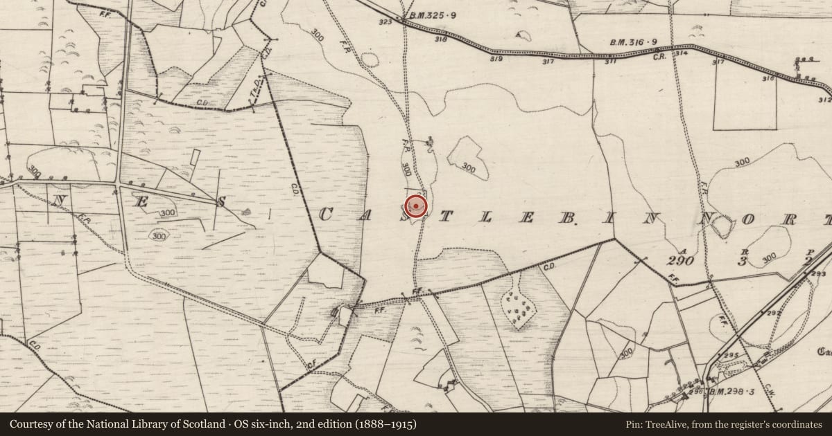 Ordnance Survey six-inch map, 2nd edition (1888–1915) covering the location of Enclosure, Castlebin North, County Galway, with a pin at the register's coordinates