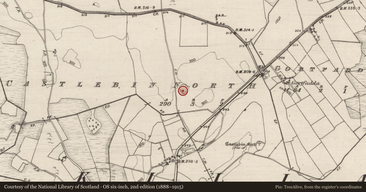 Ordnance Survey six-inch map, 2nd edition (1888–1915) covering the location of Ringfort - unclassified, Castlebin North, County Galway, with a pin at the register's coordinates