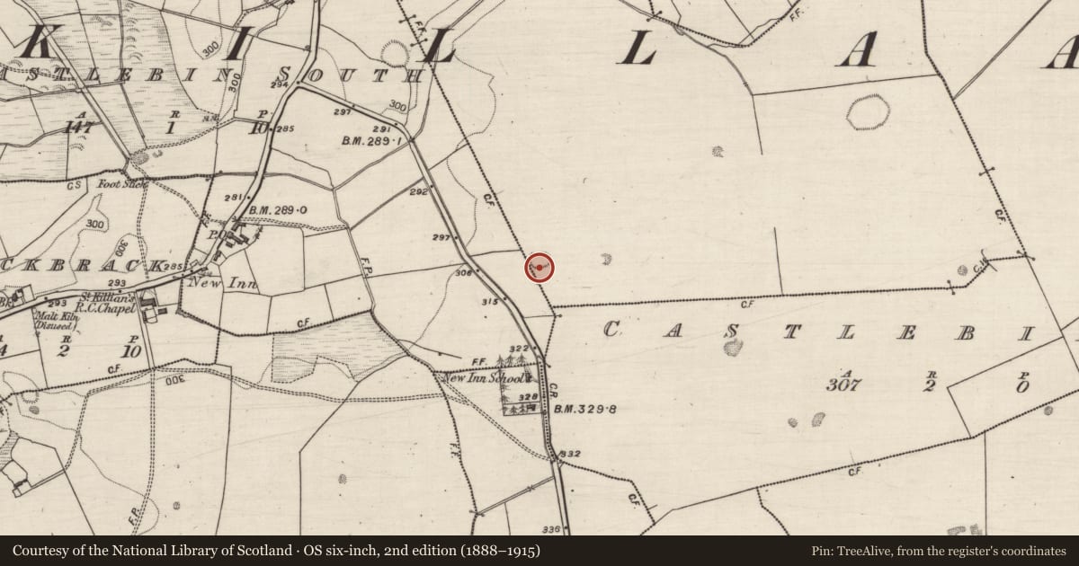Ordnance Survey six-inch map, 2nd edition (1888–1915) covering the location of Enclosure, Castlebin North, County Galway, with a pin at the register's coordinates