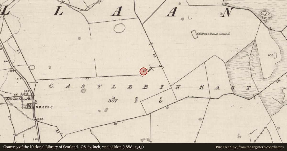 Ordnance Survey six-inch map, 2nd edition (1888–1915) covering the location of Quarry, Castlebin North, County Galway, with a pin at the register's coordinates