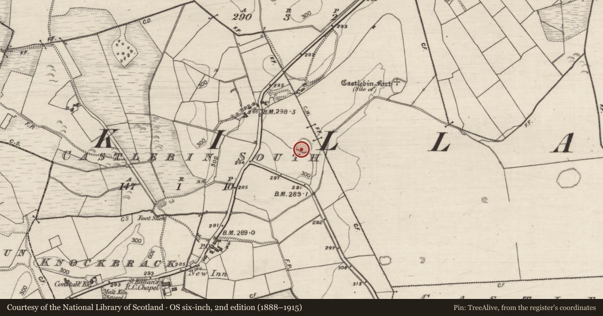 Ordnance Survey six-inch map, 2nd edition (1888–1915) covering the location of Ringfort - unclassified, Castlebin South, County Galway, with a pin at the register's coordinates