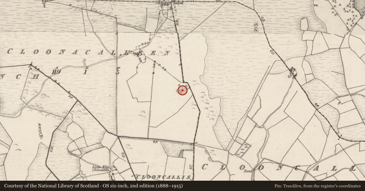Ordnance Survey six-inch map, 2nd edition (1888–1915) covering the location of Enclosure, Cloonacalleen, County Galway, with a pin at the register's coordinates