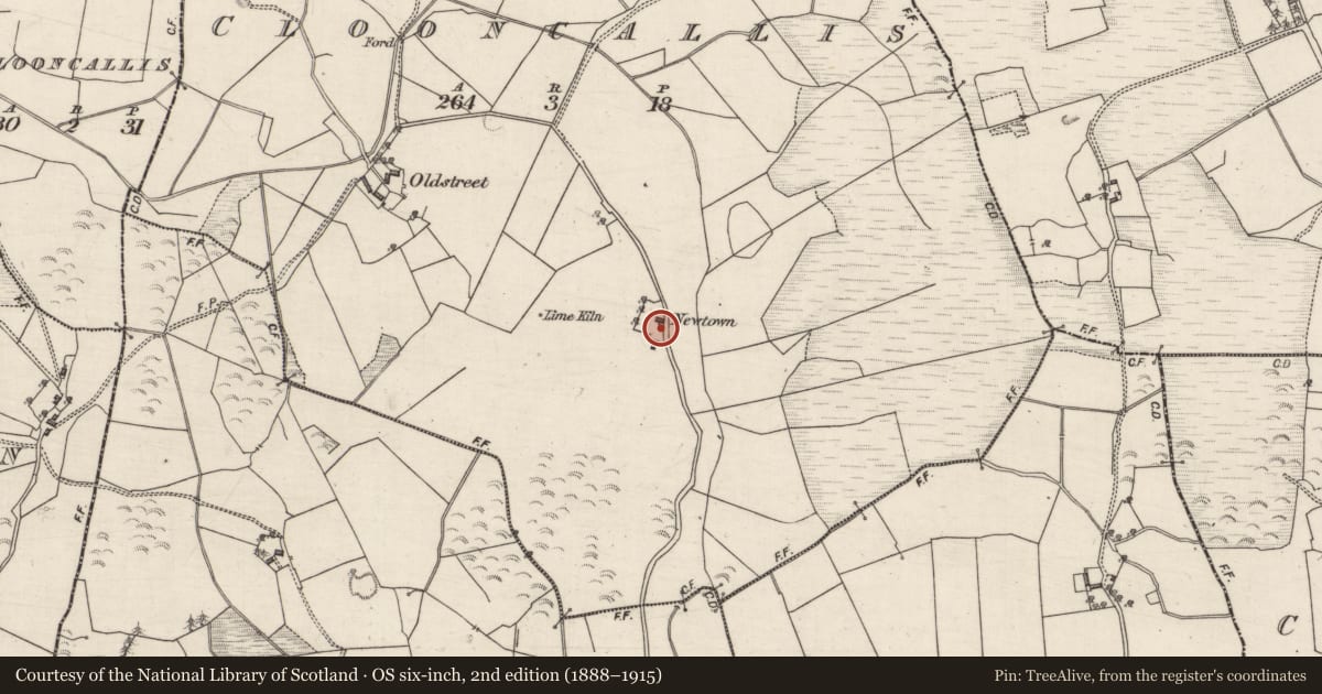 Ordnance Survey six-inch map, 2nd edition (1888–1915) covering the location of Settlement cluster, Clooncallis, County Galway, with a pin at the register's coordinates