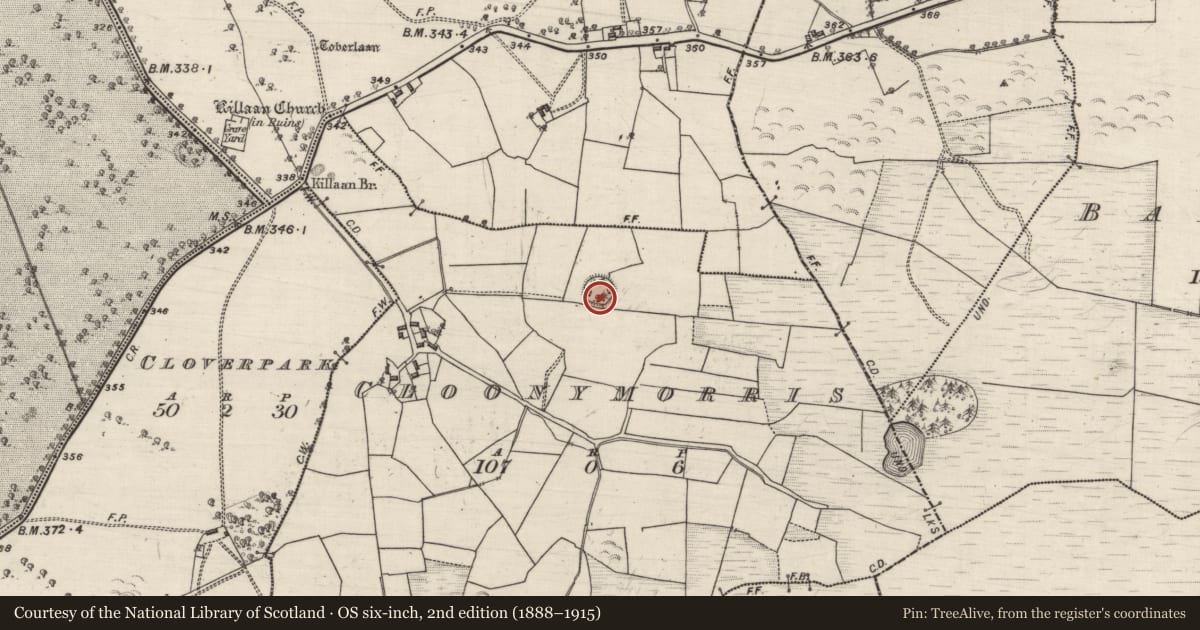 Ordnance Survey six-inch map, 2nd edition (1888–1915) covering the location of Ringfort - unclassified, Cloonymorris, County Galway, with a pin at the register's coordinates
