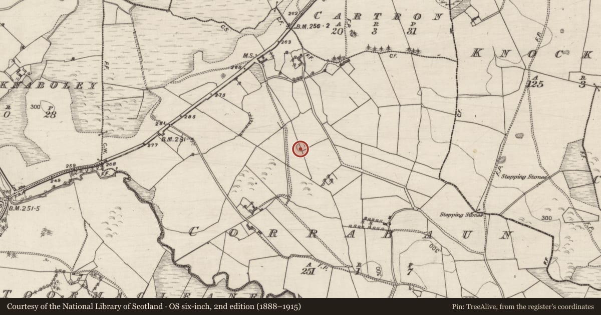 Ordnance Survey six-inch map, 2nd edition (1888–1915) covering the location of Ringfort - unclassified, Corrabaun, County Galway, with a pin at the register's coordinates