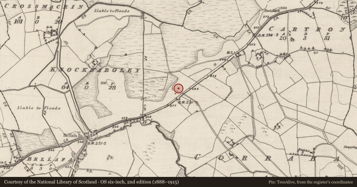 Ordnance Survey six-inch map, 2nd edition (1888–1915) covering the location of Children's burial ground, Corrabaun, County Galway, with a pin at the register's coordinates