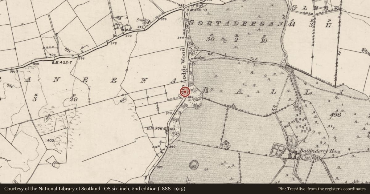 Ordnance Survey six-inch map, 2nd edition (1888–1915) covering the location of Burial ground, Corraneena, County Galway, with a pin at the register's coordinates