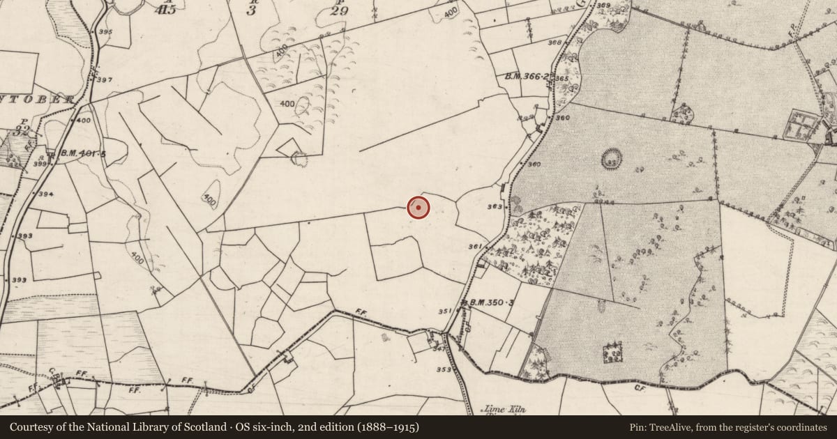 Ordnance Survey six-inch map, 2nd edition (1888–1915) covering the location of Quarry, Corraneena, County Galway, with a pin at the register's coordinates