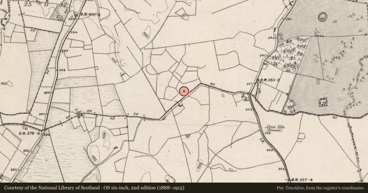 Ordnance Survey six-inch map, 2nd edition (1888–1915) covering the location of Children's burial ground, Corraneena, County Galway, with a pin at the register's coordinates
