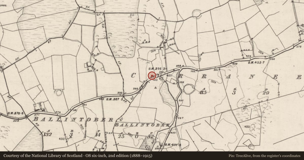 Ordnance Survey six-inch map, 2nd edition (1888–1915) covering the location of Children's burial ground, Corraneena, County Galway, with a pin at the register's coordinates