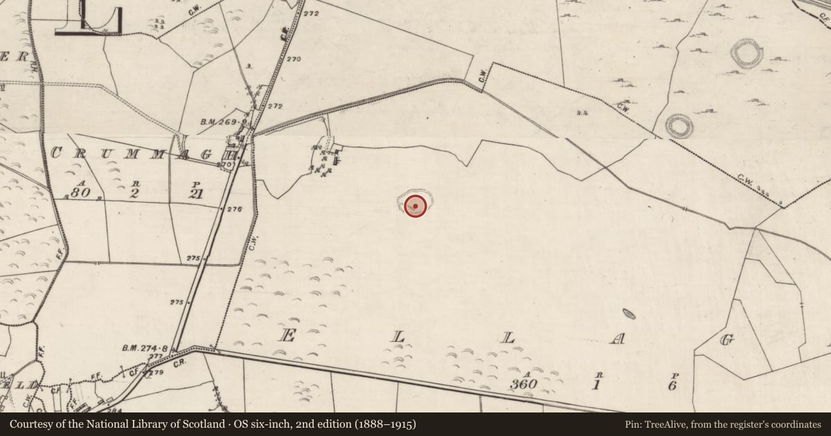 Ordnance Survey six-inch map, 2nd edition (1888–1915) covering the location of Ringfort - rath, Ellagh, County Galway, with a pin at the register's coordinates
