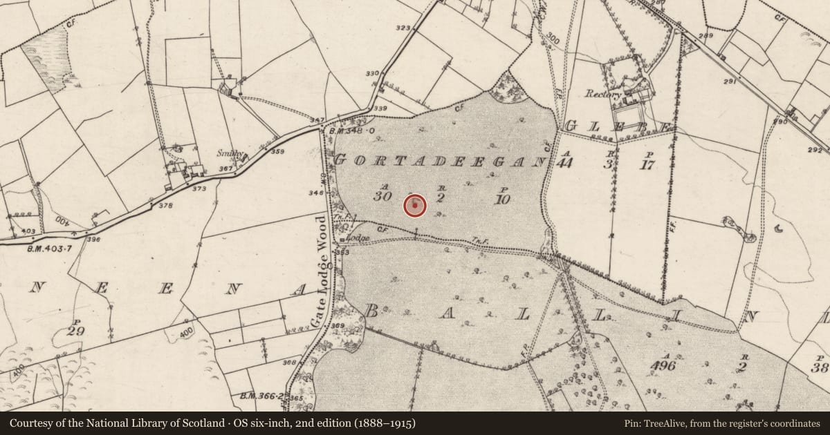 Ordnance Survey six-inch map, 2nd edition (1888–1915) covering the location of Quarry, Gortadeegan, County Galway, with a pin at the register's coordinates