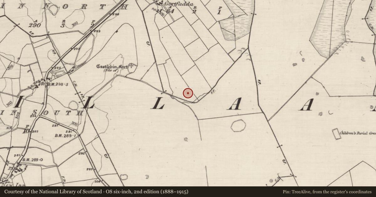 Ordnance Survey six-inch map, 2nd edition (1888–1915) covering the location of Enclosure, Gortfadda, County Galway, with a pin at the register's coordinates