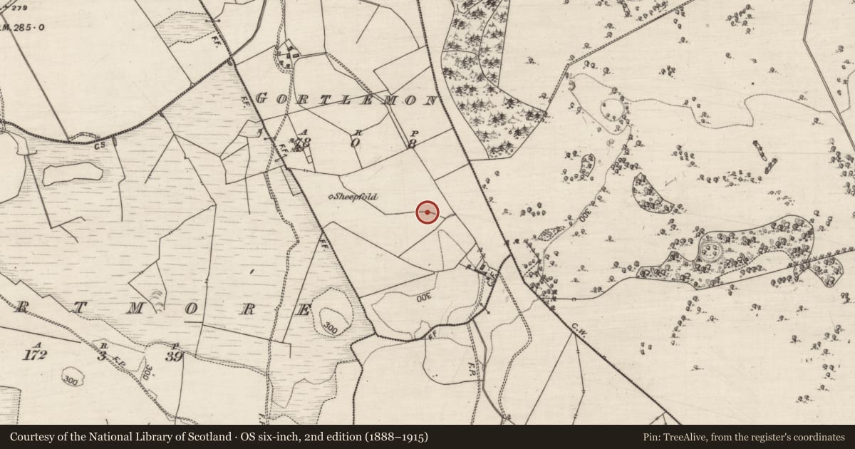 Ordnance Survey six-inch map, 2nd edition (1888–1915) covering the location of Enclosure, Gortlemon, County Galway, with a pin at the register's coordinates