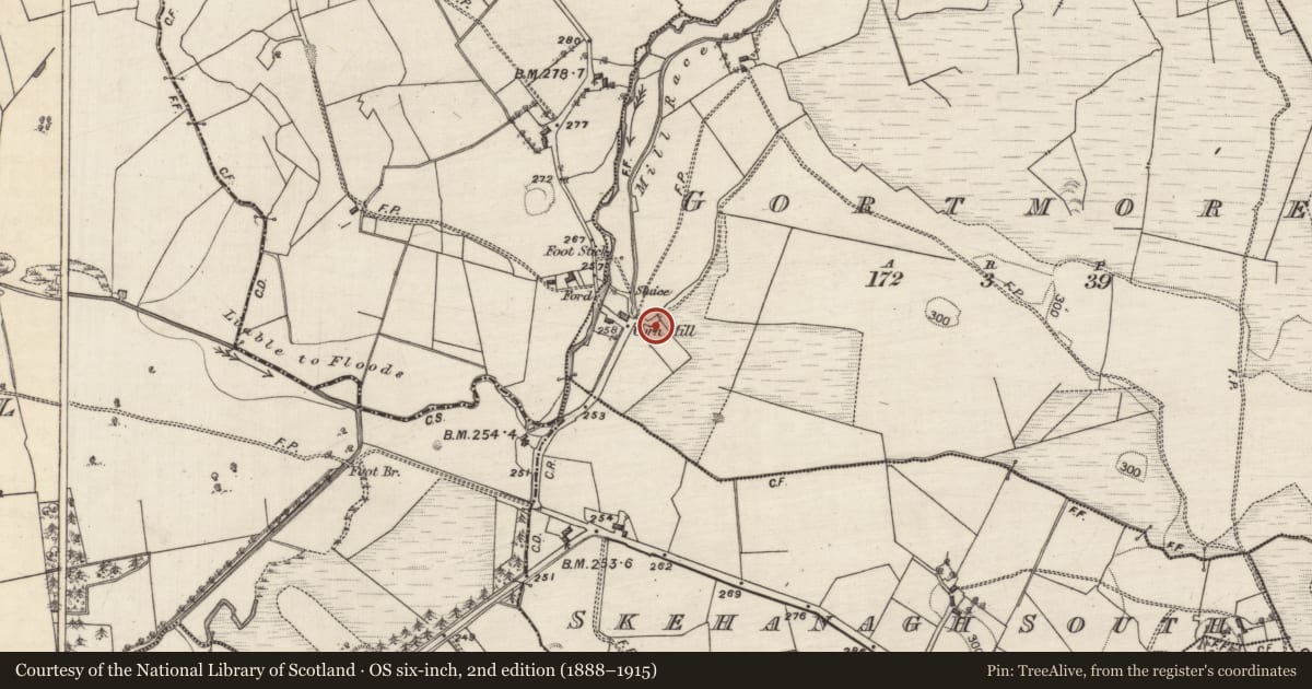 Ordnance Survey six-inch map, 2nd edition (1888–1915) covering the location of Kiln - corn-drying, Gortmore, County Galway, with a pin at the register's coordinates