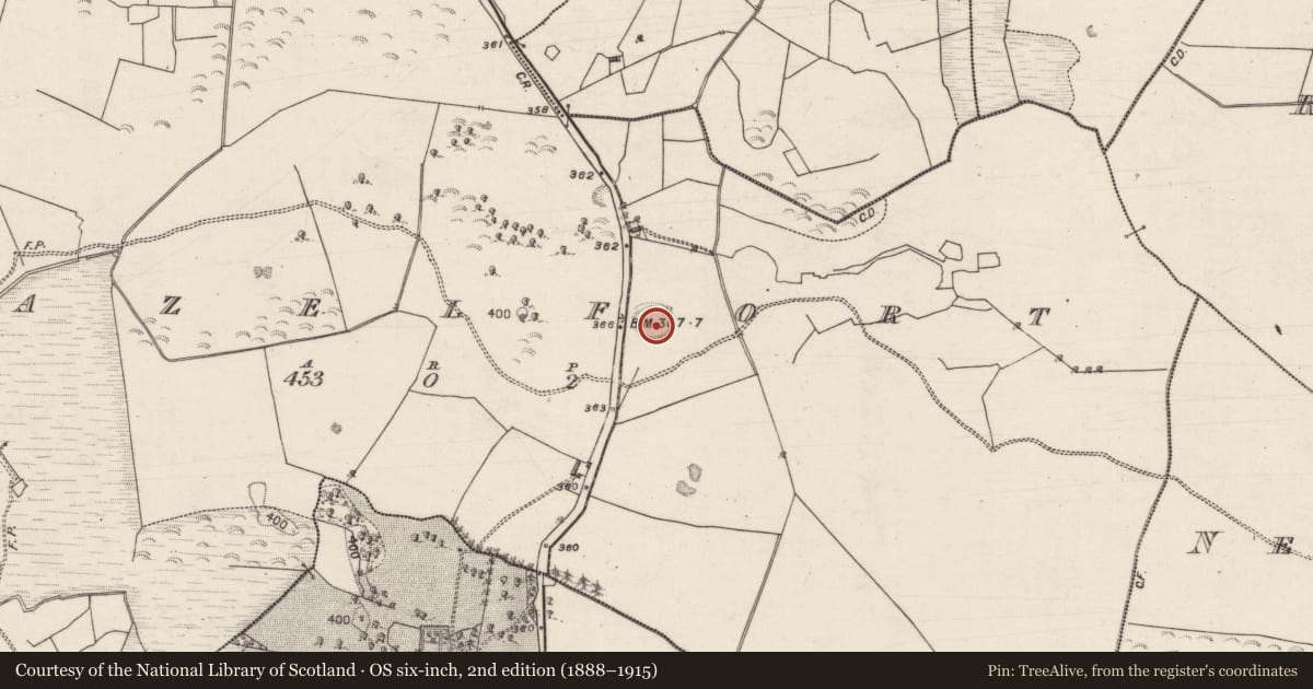 Ordnance Survey six-inch map, 2nd edition (1888–1915) covering the location of House - indeterminate date, Hazelfort, County Galway, with a pin at the register's coordinates