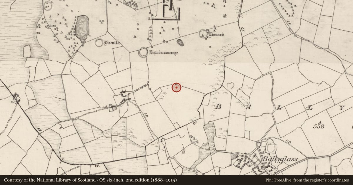 Ordnance Survey six-inch map, 2nd edition (1888–1915) covering the location of Designed landscape feature, Hillswood, County Galway, with a pin at the register's coordinates