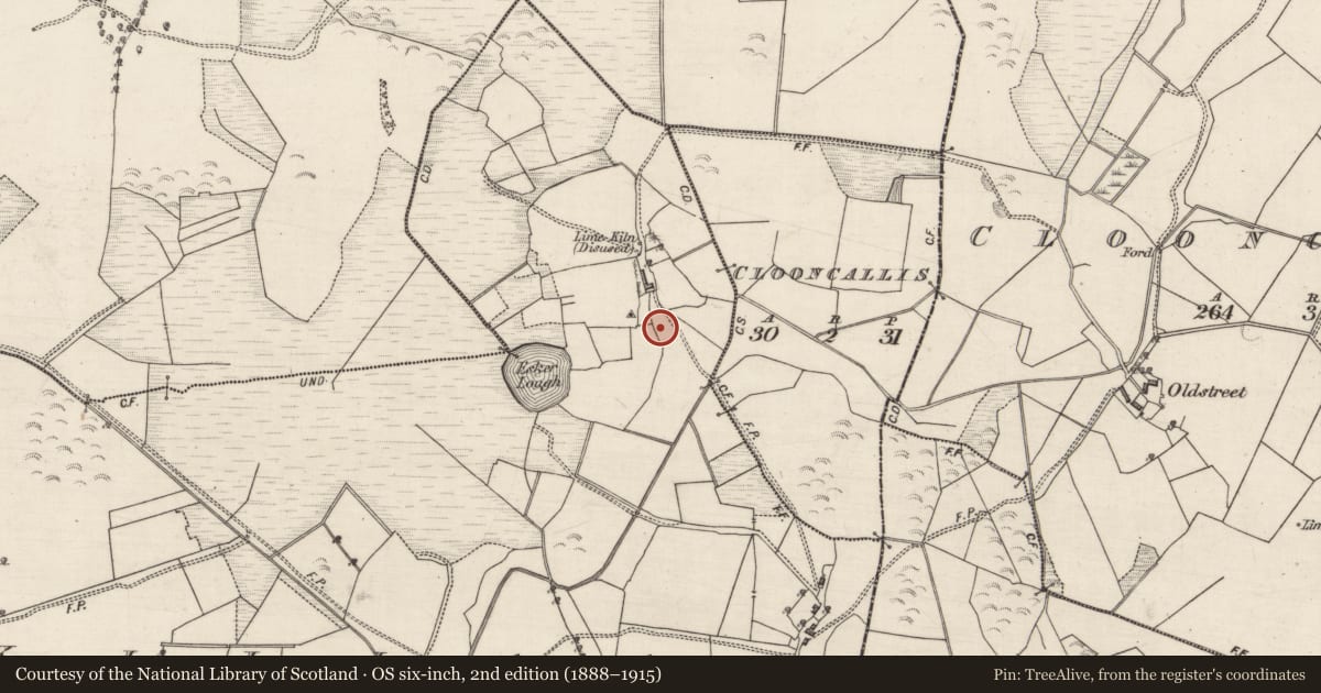 Ordnance Survey six-inch map, 2nd edition (1888–1915) covering the location of Bullaun stone, Killaan, County Galway, with a pin at the register's coordinates