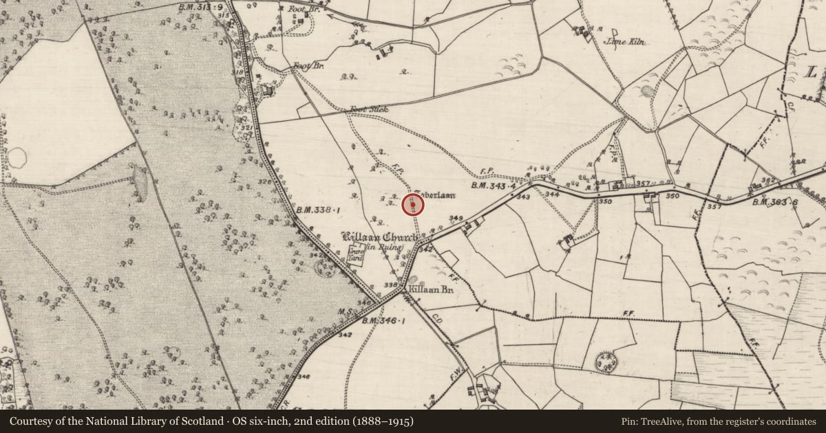 Ordnance Survey six-inch map, 2nd edition (1888–1915) covering the location of Ritual site - holy well, Killaan, County Galway, with a pin at the register's coordinates