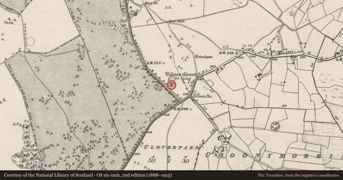 Ordnance Survey six-inch map, 2nd edition (1888–1915) covering the location of Graveyard, Killaan, County Galway, with a pin at the register's coordinates