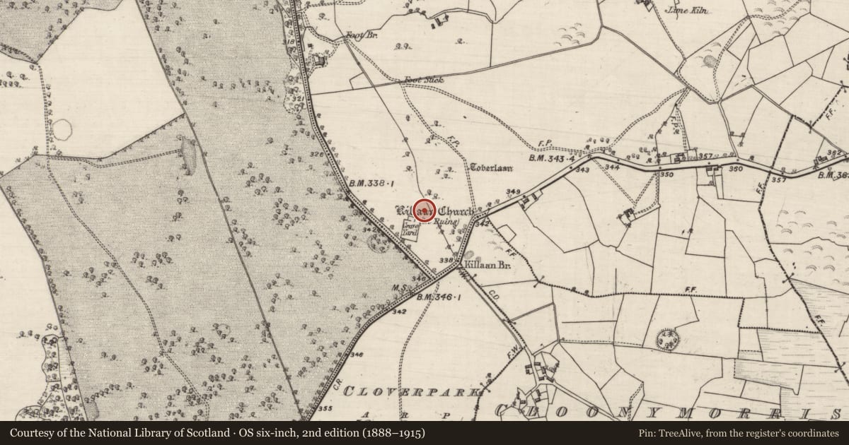 Ordnance Survey six-inch map, 2nd edition (1888–1915) covering the location of Ritual site - holy well, Killaan, County Galway, with a pin at the register's coordinates