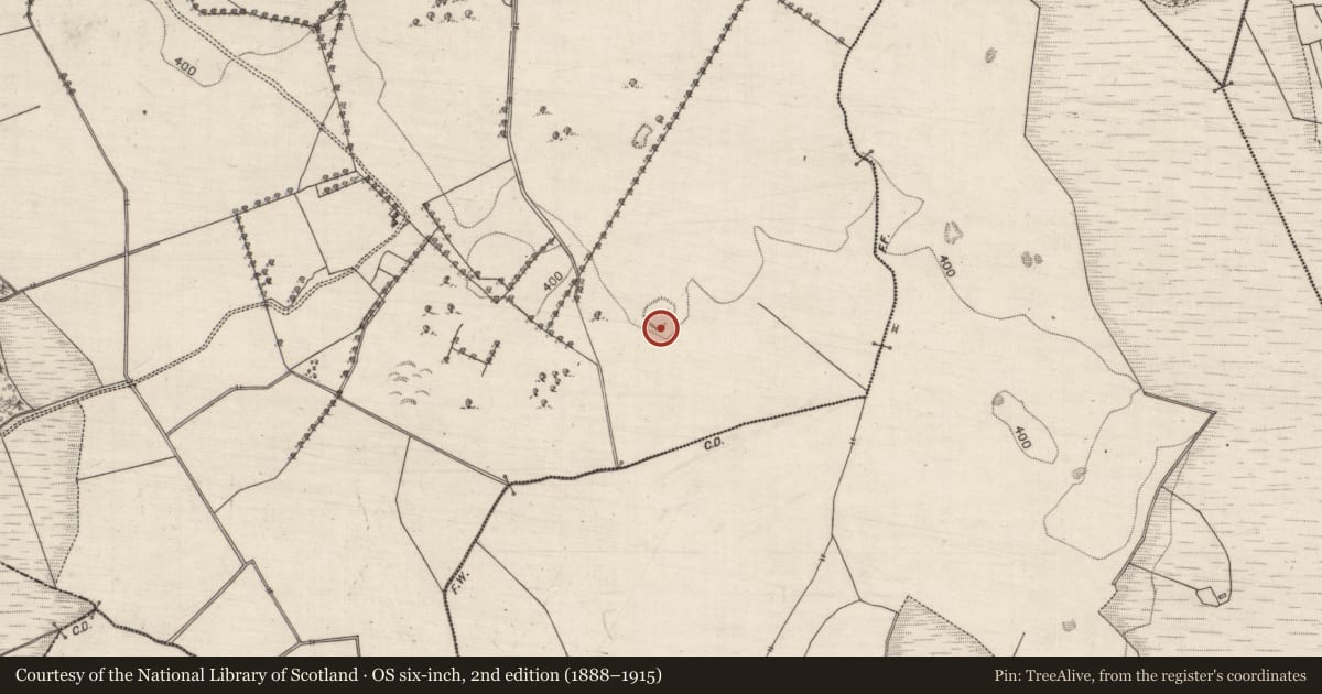 Ordnance Survey six-inch map, 2nd edition (1888–1915) covering the location of Ringfort - unclassified, Killagh More, County Galway, with a pin at the register's coordinates