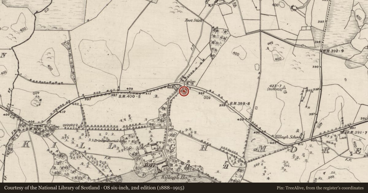 Ordnance Survey six-inch map, 2nd edition (1888–1915) covering the location of Quarry, Killagh More, County Galway, with a pin at the register's coordinates