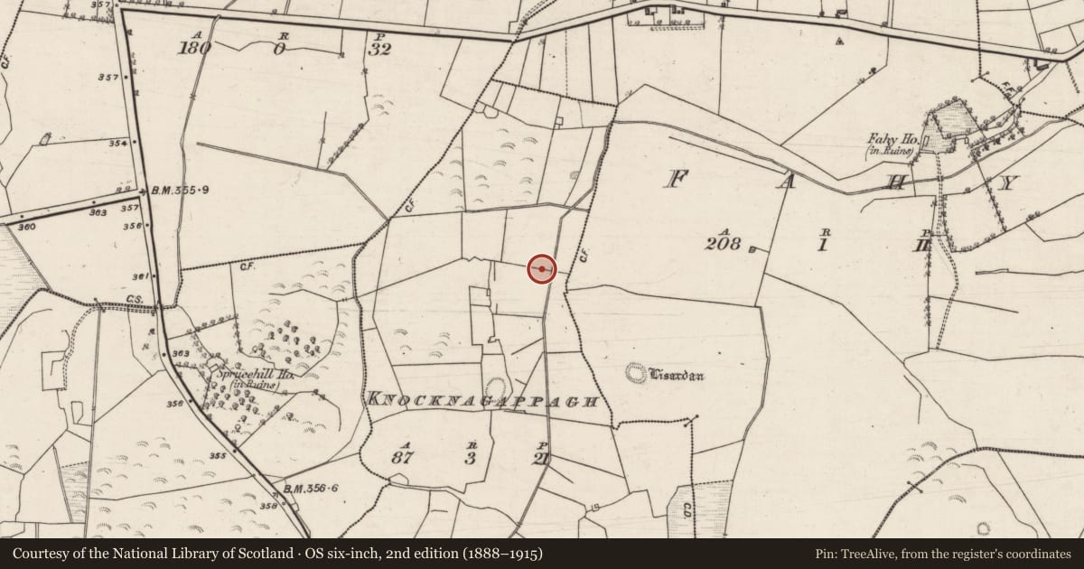Ordnance Survey six-inch map, 2nd edition (1888–1915) covering the location of Bullaun stone, Knocknagappagh, County Galway, with a pin at the register's coordinates