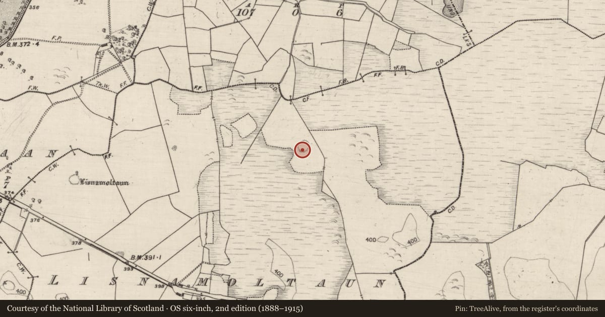 Ordnance Survey six-inch map, 2nd edition (1888–1915) covering the location of Ringfort - unclassified, Lisnamoltaun, County Galway, with a pin at the register's coordinates