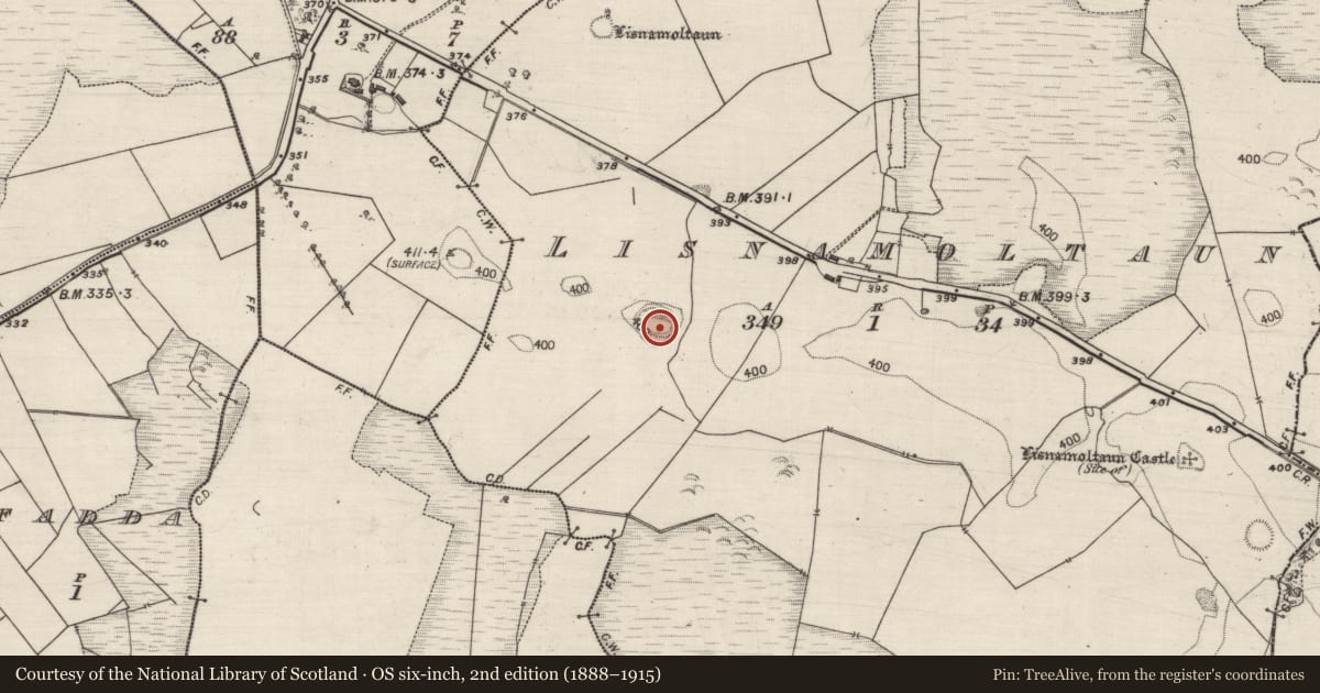 Ordnance Survey six-inch map, 2nd edition (1888–1915) covering the location of Souterrain, Lisnamoltaun, County Galway, with a pin at the register's coordinates