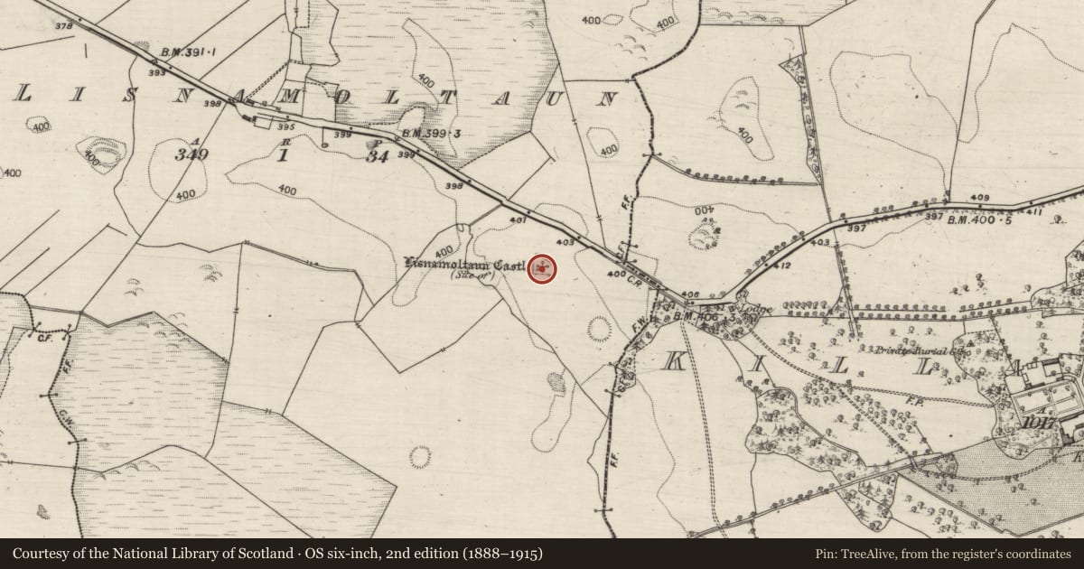 Ordnance Survey six-inch map, 2nd edition (1888–1915) covering the location of Castle - unclassified, Lisnamoltaun, County Galway, with a pin at the register's coordinates