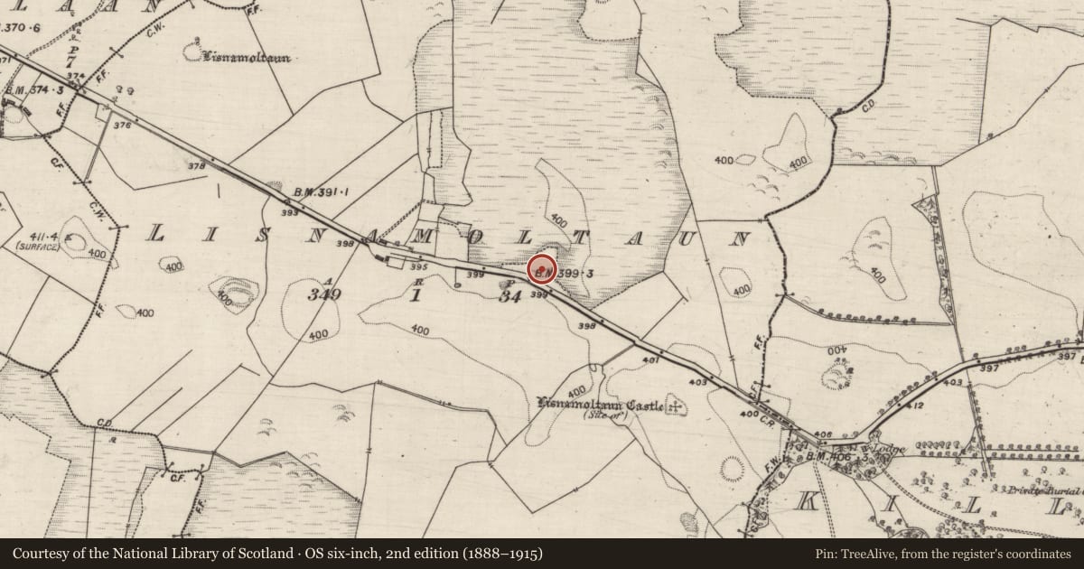 Ordnance Survey six-inch map, 2nd edition (1888–1915) covering the location of Enclosure, Lisnamoltaun, County Galway, with a pin at the register's coordinates