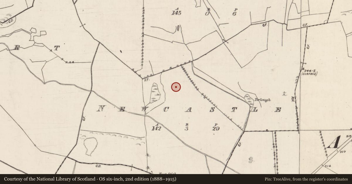 Ordnance Survey six-inch map, 2nd edition (1888–1915) covering the location of Souterrain, Newcastle (Aughrim Par.), County Galway, with a pin at the register's coordinates