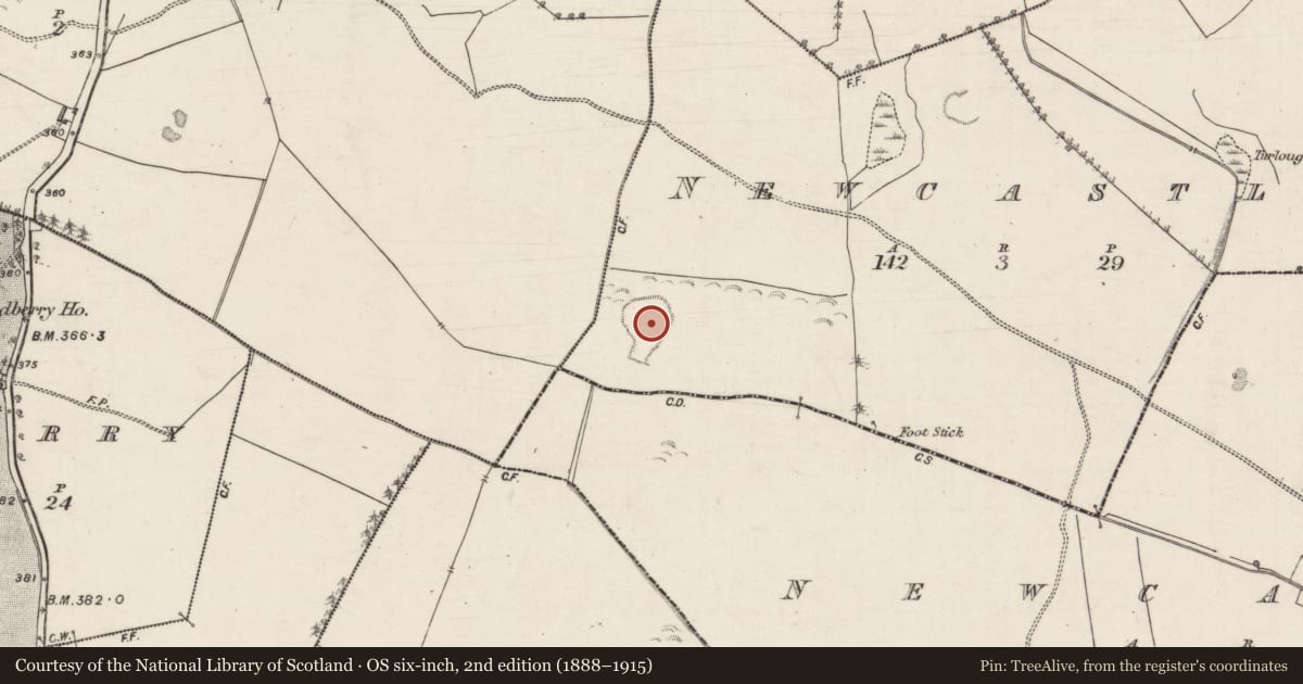 Ordnance Survey six-inch map, 2nd edition (1888–1915) covering the location of Enclosure, Newcastle (Aughrim Par.), County Galway, with a pin at the register's coordinates